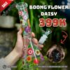 Boong FLOWER DAISY