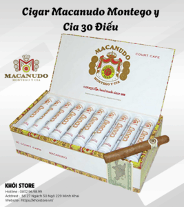 Cigar Macanudo Montego y Cia 