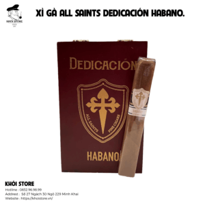 All Saints Dedicación Habano