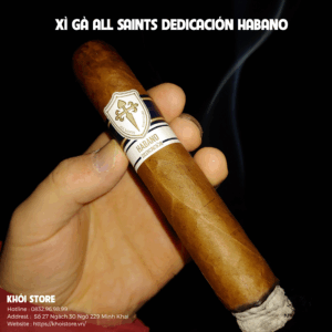 All Saints Dedicación Habano