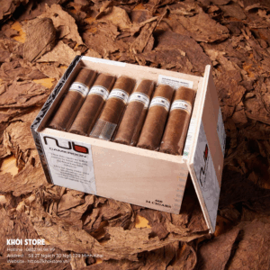 Xì gà Nub Cameroon 460 - Hộp 24 Điếu Chính Hãng