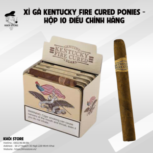 Xì gà Kentucky Fire Cured Ponies - hộp 10 điếu chính hãng 