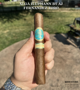 Xì Gà H.Upmann By AJ Fernandez Toro Tubos
