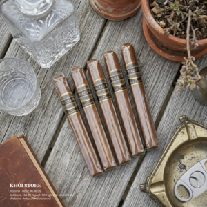 Combo 5 Điếu Cigar Villiger 125th