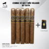 Combo 5 Điếu Cigar Villiger 125th