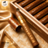 Cigar Rocky Patel Royale Toro Tubo Deluxe